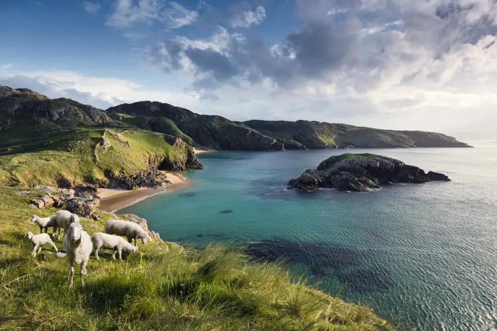 Hefele, Stefan: Irish Coast