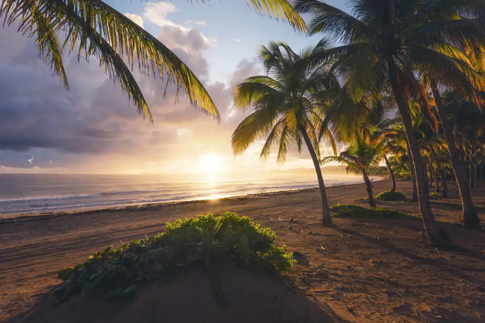 Hefele, Stefan: Good Morning Paradise