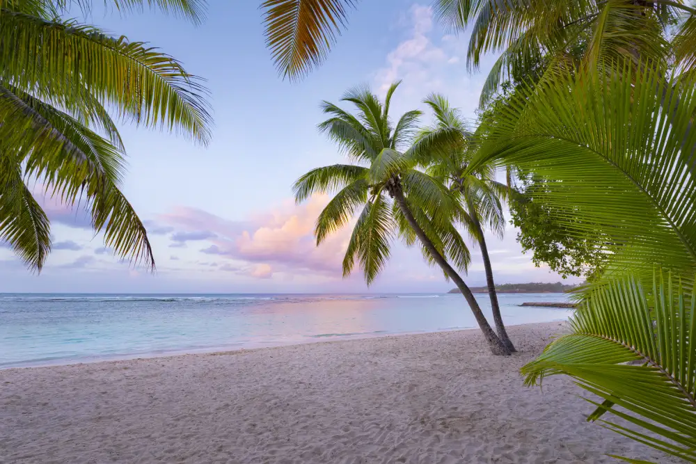 Hefele, Stefan: Tropischer Strand