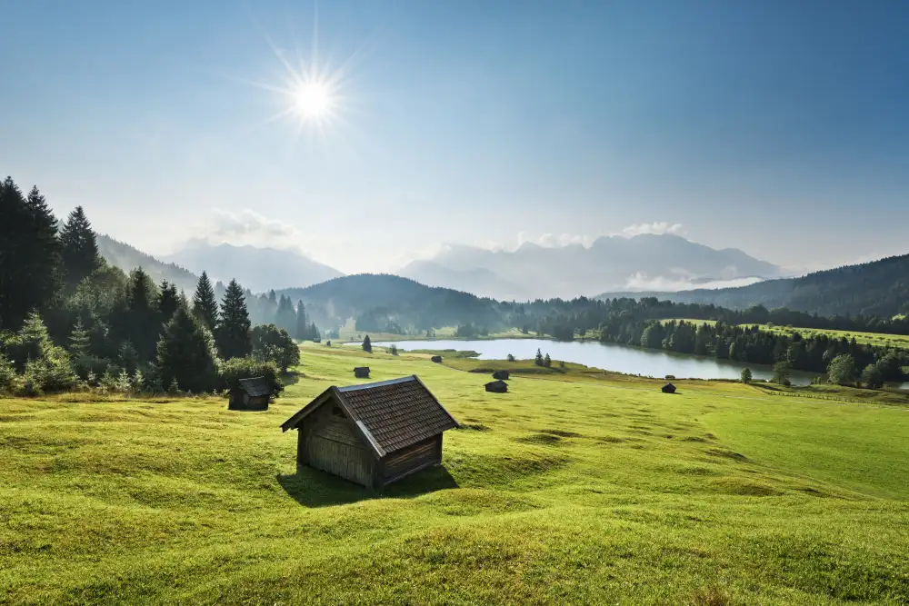 Hefele, Stefan: Sommerwiese