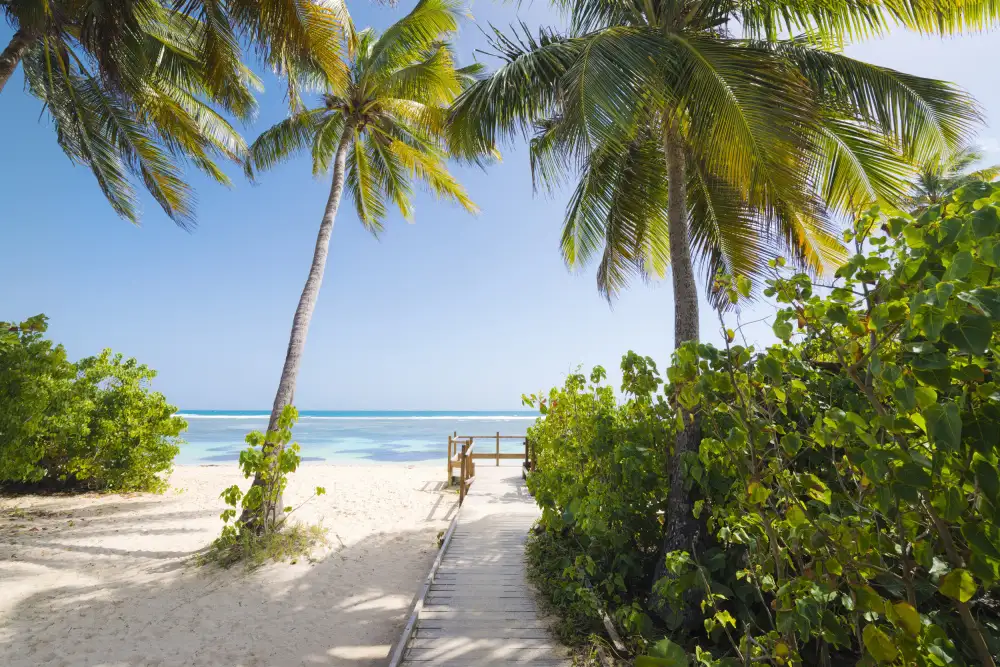 Hefele, Stefan: Zum Strand