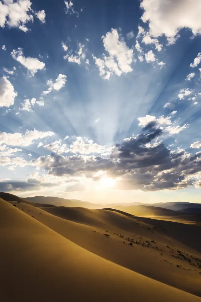 Hefele, Stefan: Desert Rays