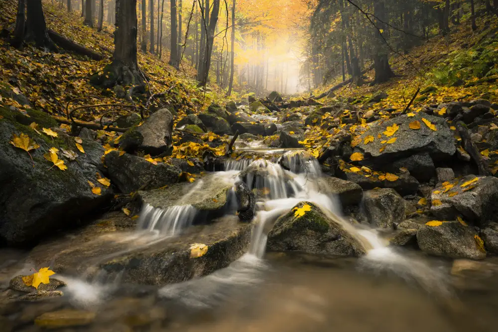 Hefele, Stefan: Autum Stream
