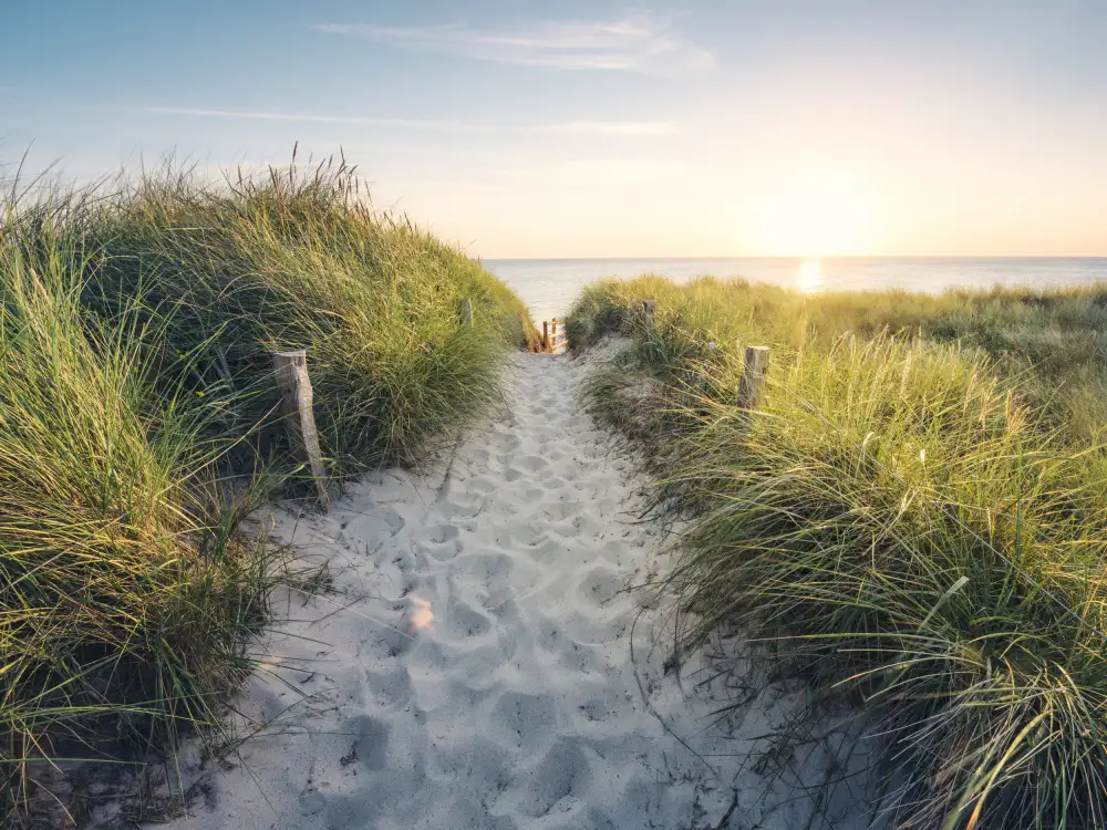 Hefele, Stefan: Zum Strand