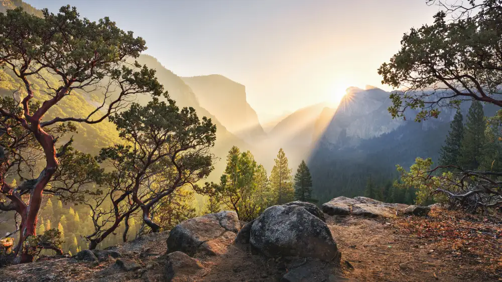 Hefele, Stefan: Yosemite-Geheimnis