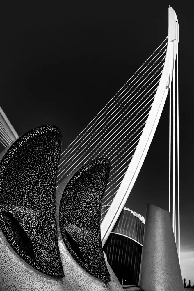 Silveira, Fernando: Harp concerto