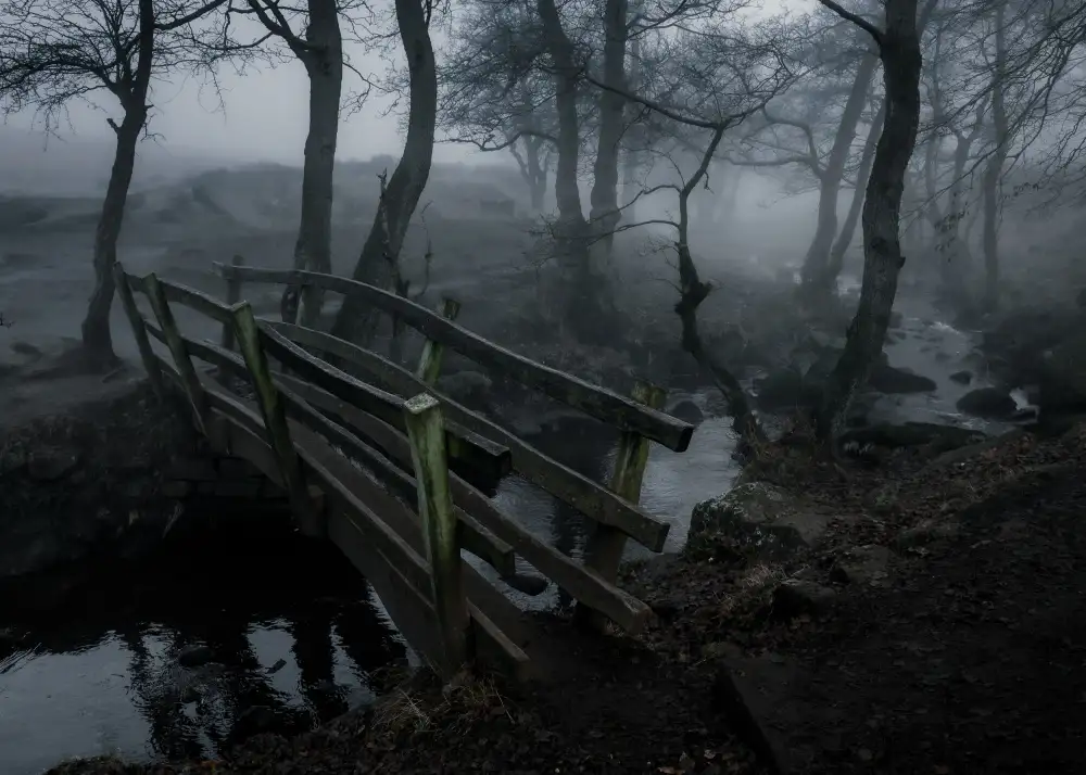 Wilson, Francis: The Styx Crossing