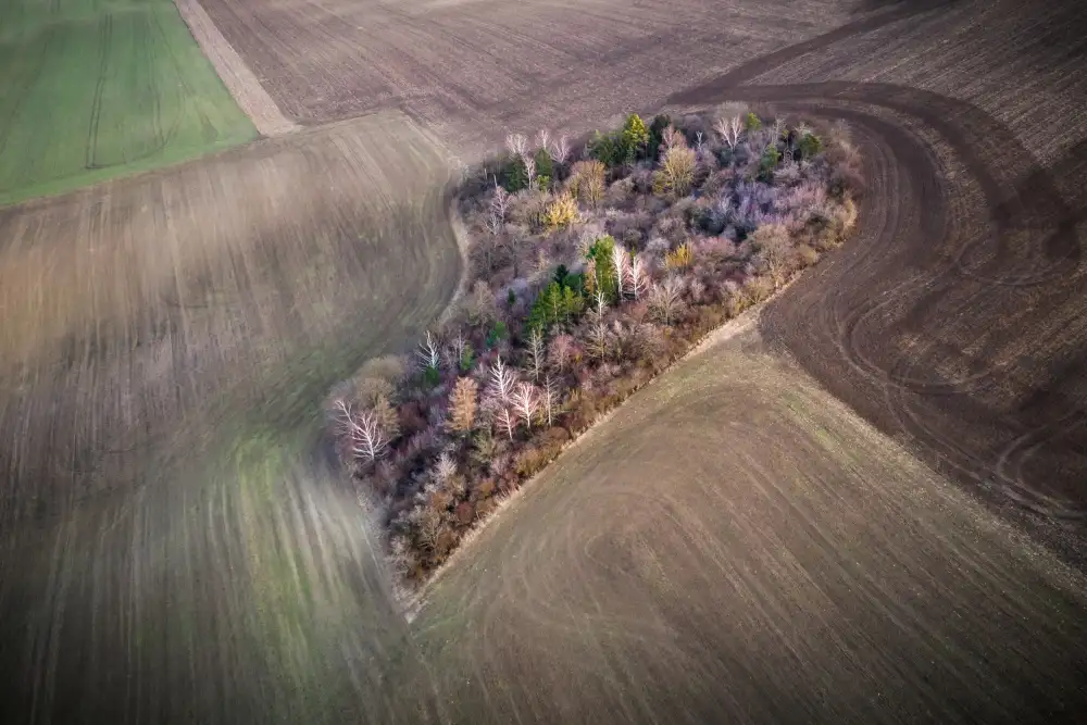 Šimic, Joško: Half a heart