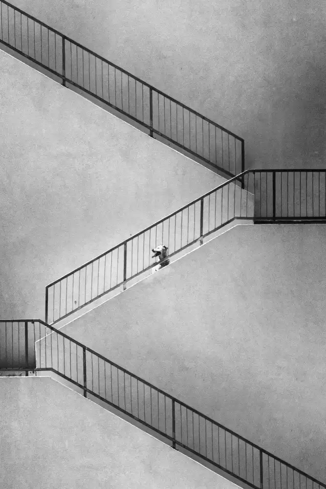Cinteza, Marius: Ascending perspective