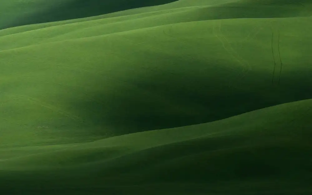 Moretti, Claudio: Green in all its nuances