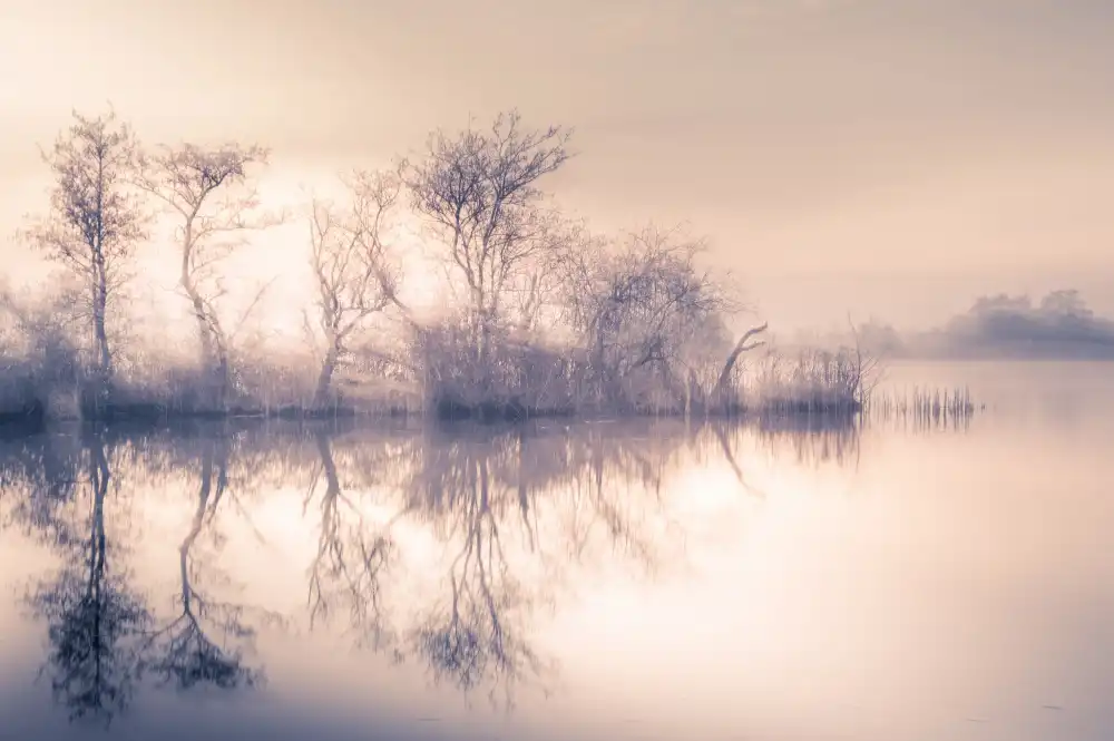 Bouhuijzen, Ina: Cold morning at the pond