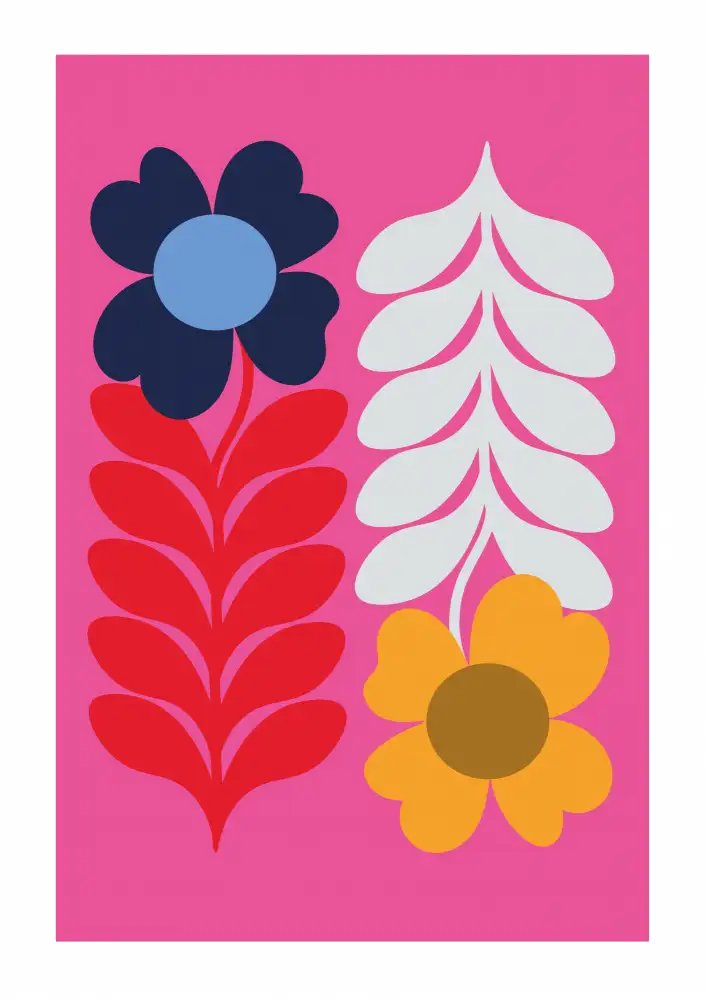 Collett, Frances: Fleurs Rose