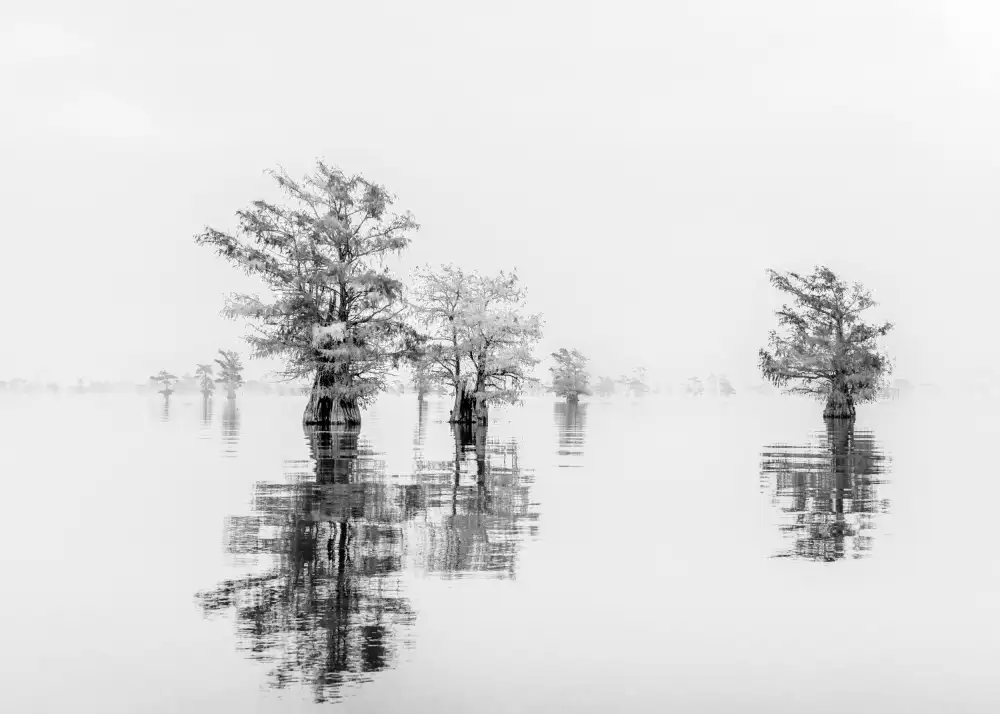 Xiao, Hanping: Heiter