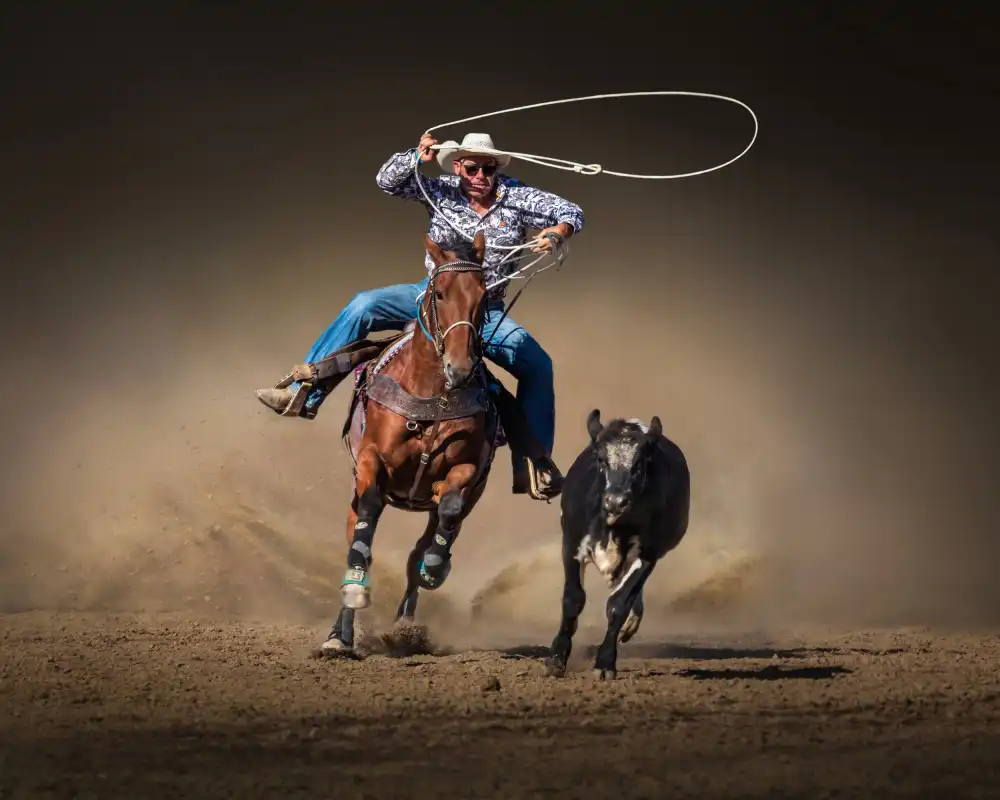 Wu, Irene: Cattle Roping