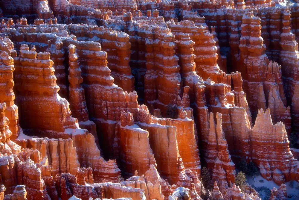 Zhang, Johnny: Bryce Hoodoos