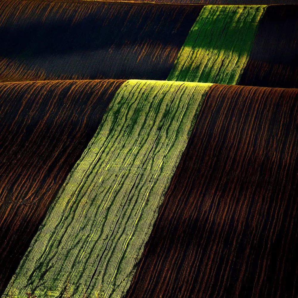 Uhrin, Milan: Velvet carpet