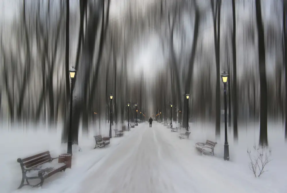 Kiyashko, Alexander: Winter park