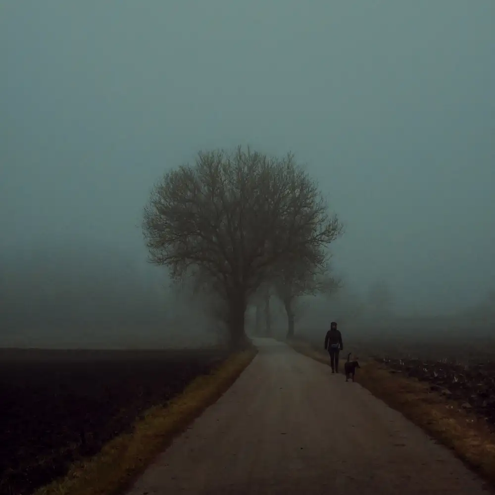 Wasinger, Renate: morning walk