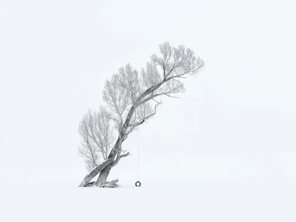 Xu, Mei: Lone Tree in Winter (Black/White)