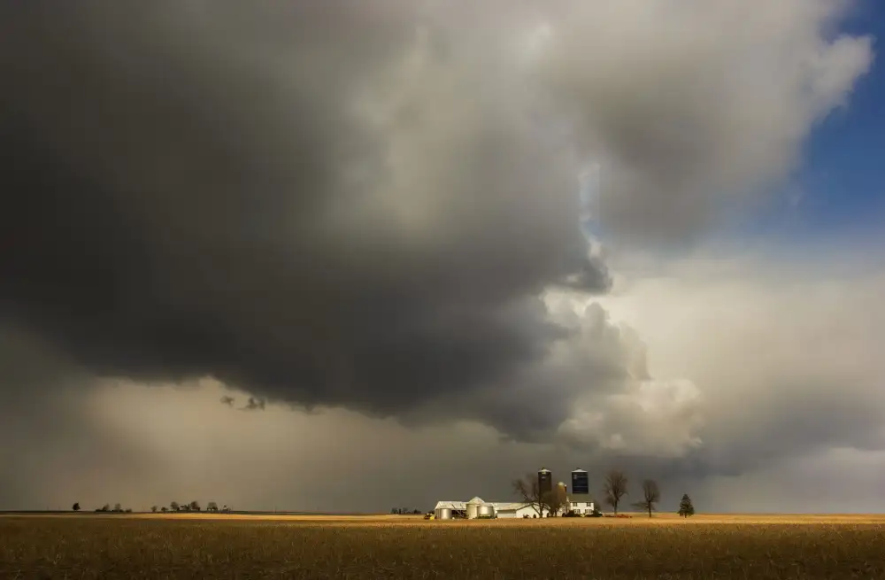 Liu, Wei: Storm over the Farm