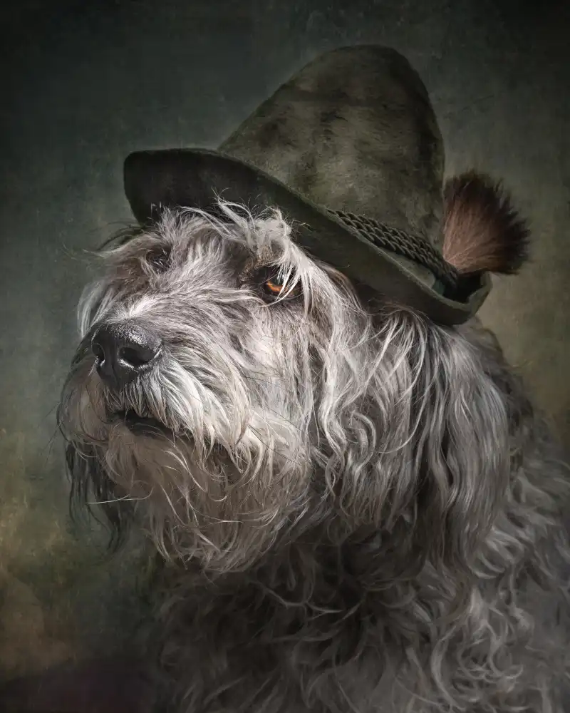Repelnig, Hans: Grumpy hunter
