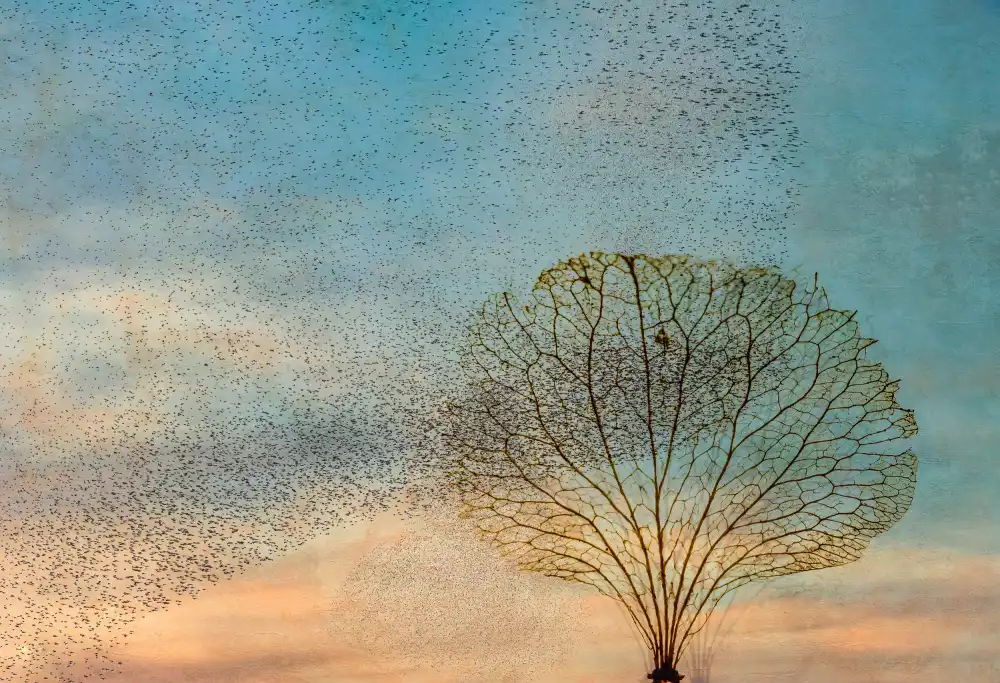 Lee, van Hilda: die Vögel und der Baum