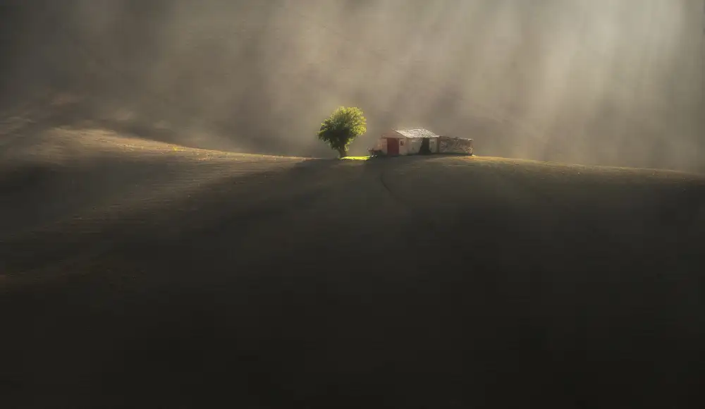 Rojek, Tomasz: On the rolling hills