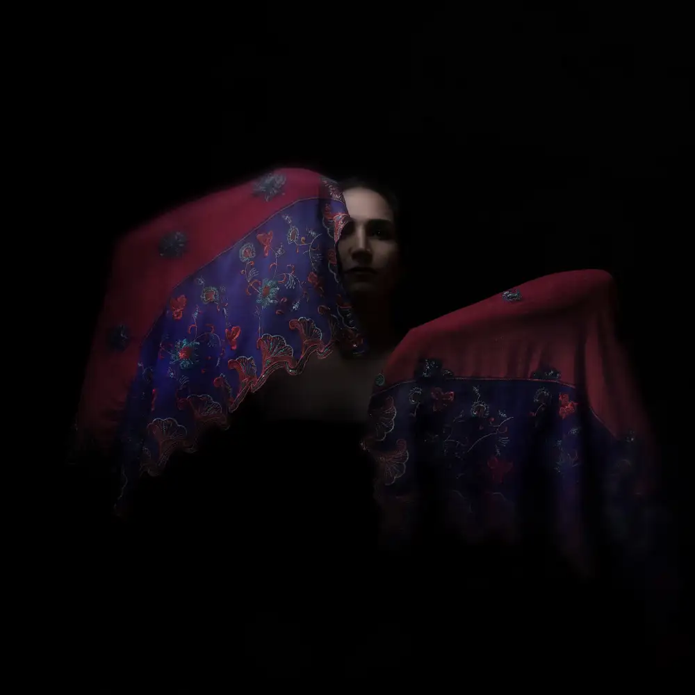Hasheminasab, Moein: Ballerino persiano