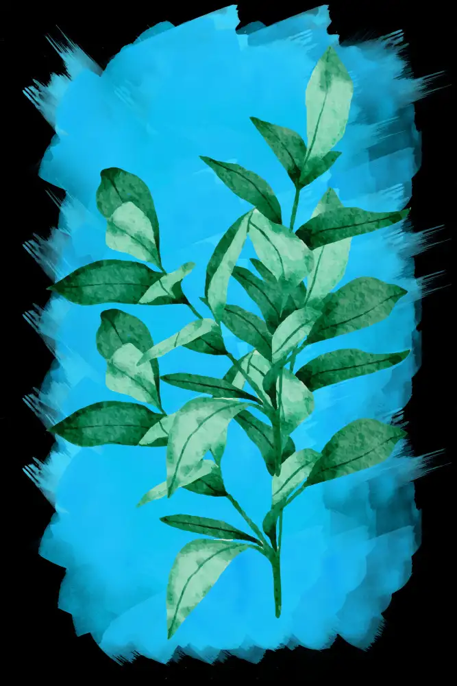 Aal, Abdel Hussein: Bay leaf plant