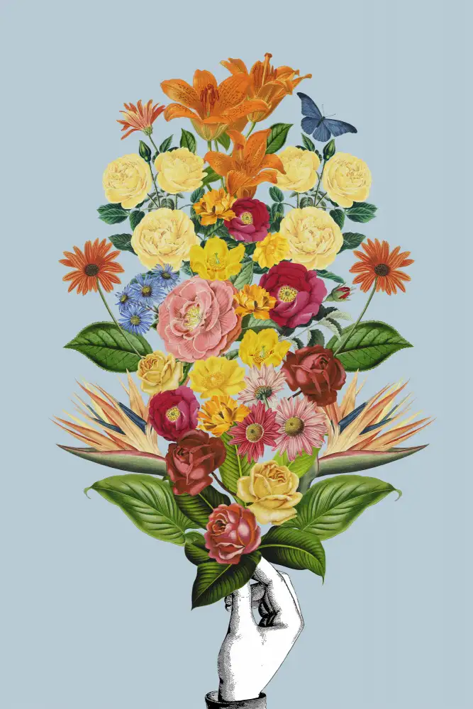 Kvetiny Backer (Květinách Backer, Naši floristé, aranžmá které) Kvetiny Backer