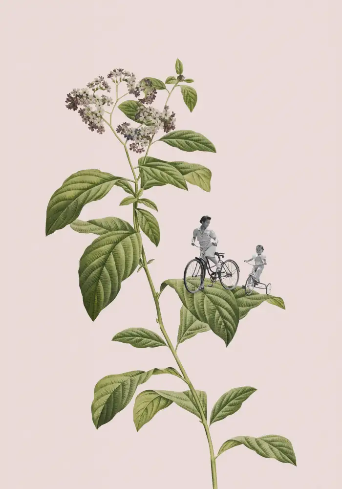 Studio, Floral Frida: Botanical cycling