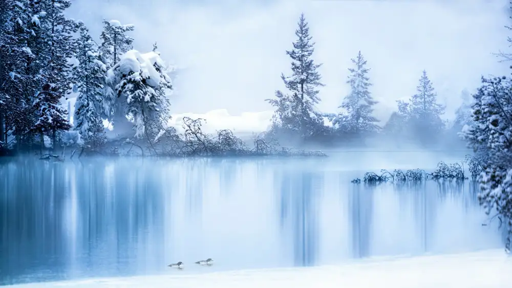 Wei, and Siyu: Escena de invierno de Yellowstone 6