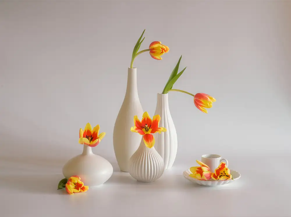 Sheng, Alice: still life 70