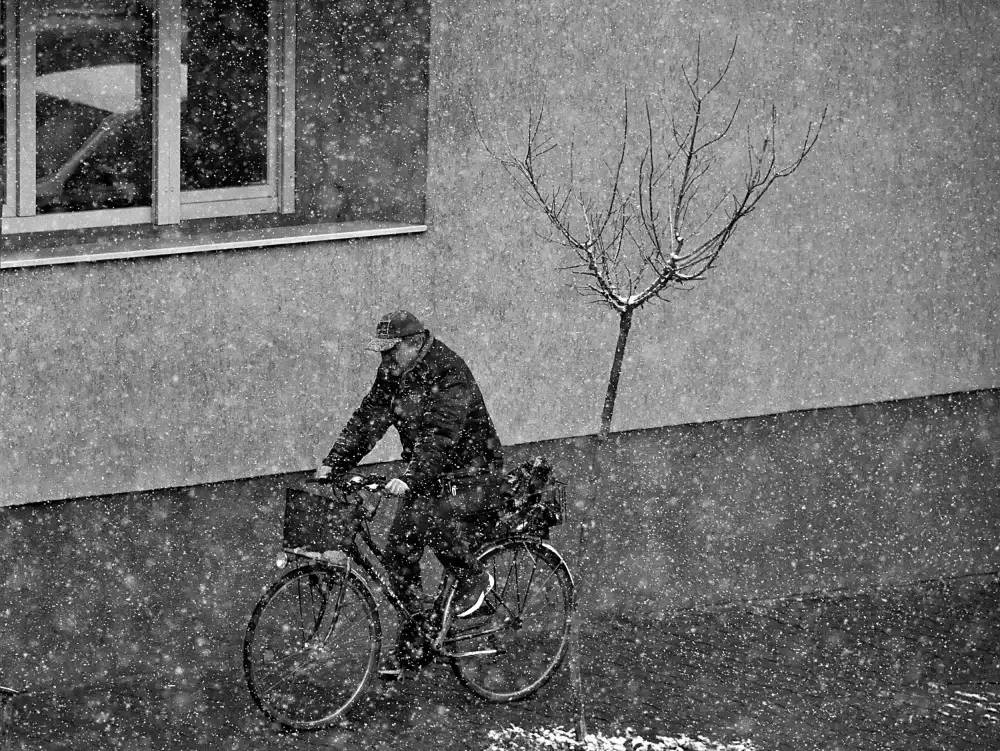 Gabor, Nicoleta: pasajeros de invierno
