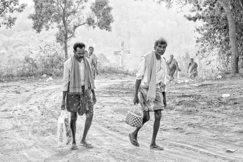 Cavalli, Giovanni: Pilgrims