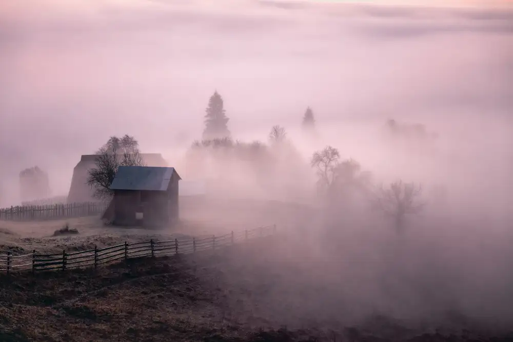 Prioteasa, Sebastian: Morning Mist