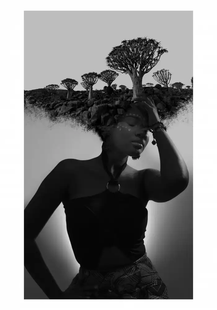 Roze, Fadil: Nambia Thoughts