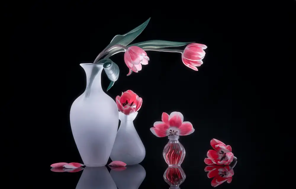 Sheng, Alice: nature morte 73