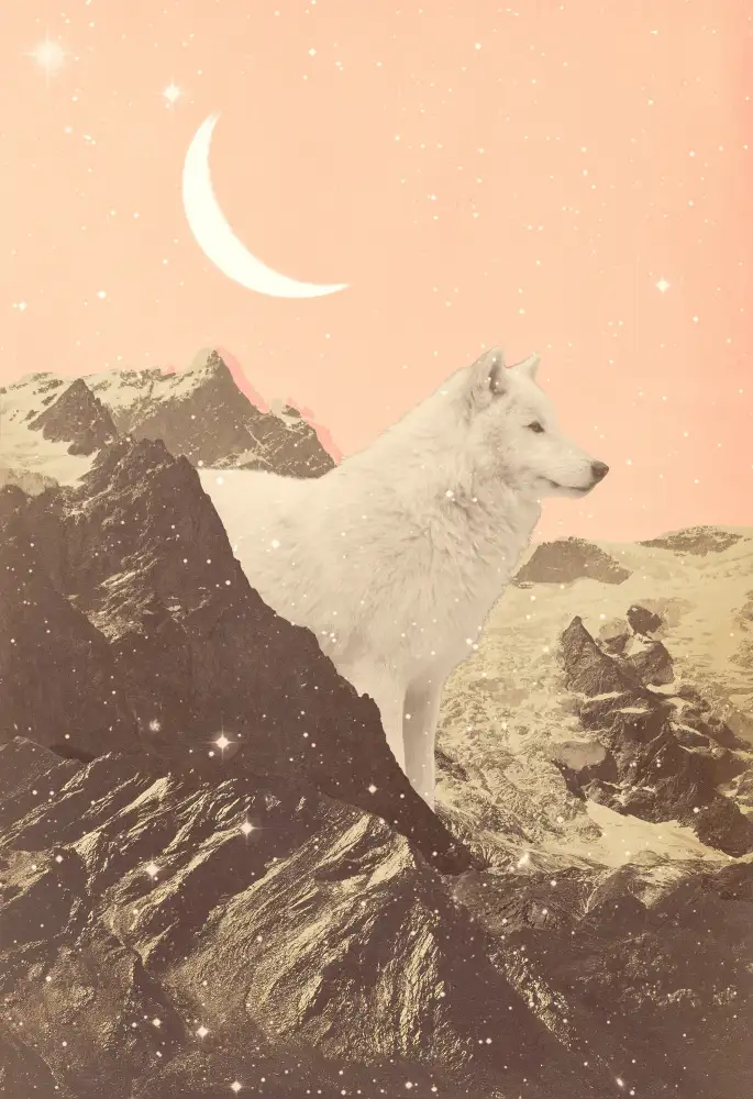 Bodart, Florent: Giant White Wolf In Mountains