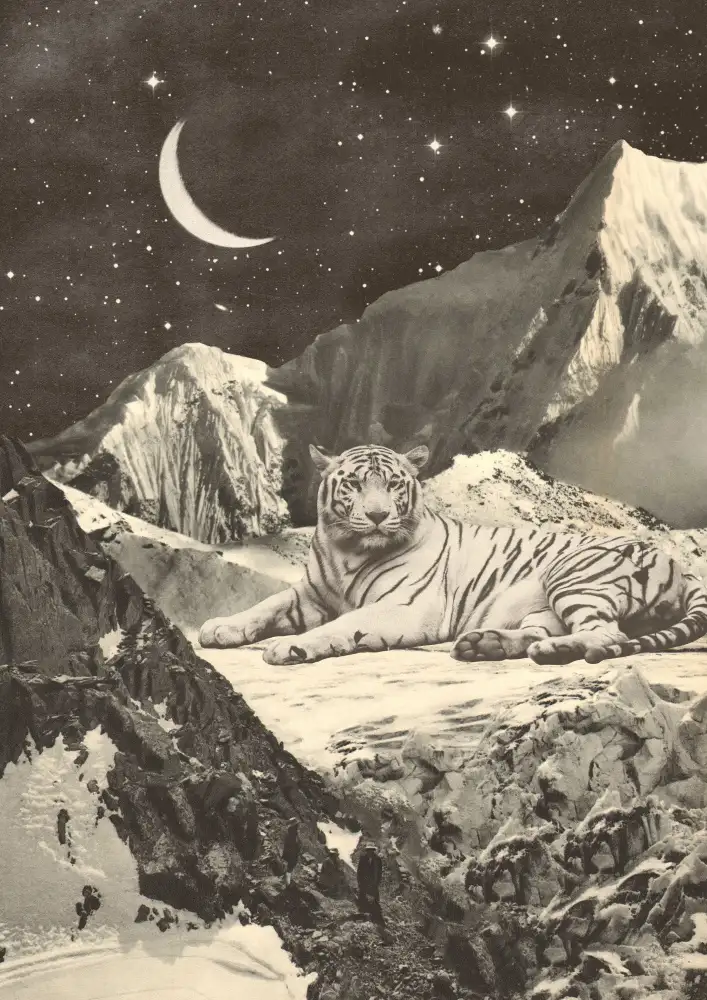 Bodart, Florent: Giant White Tiger