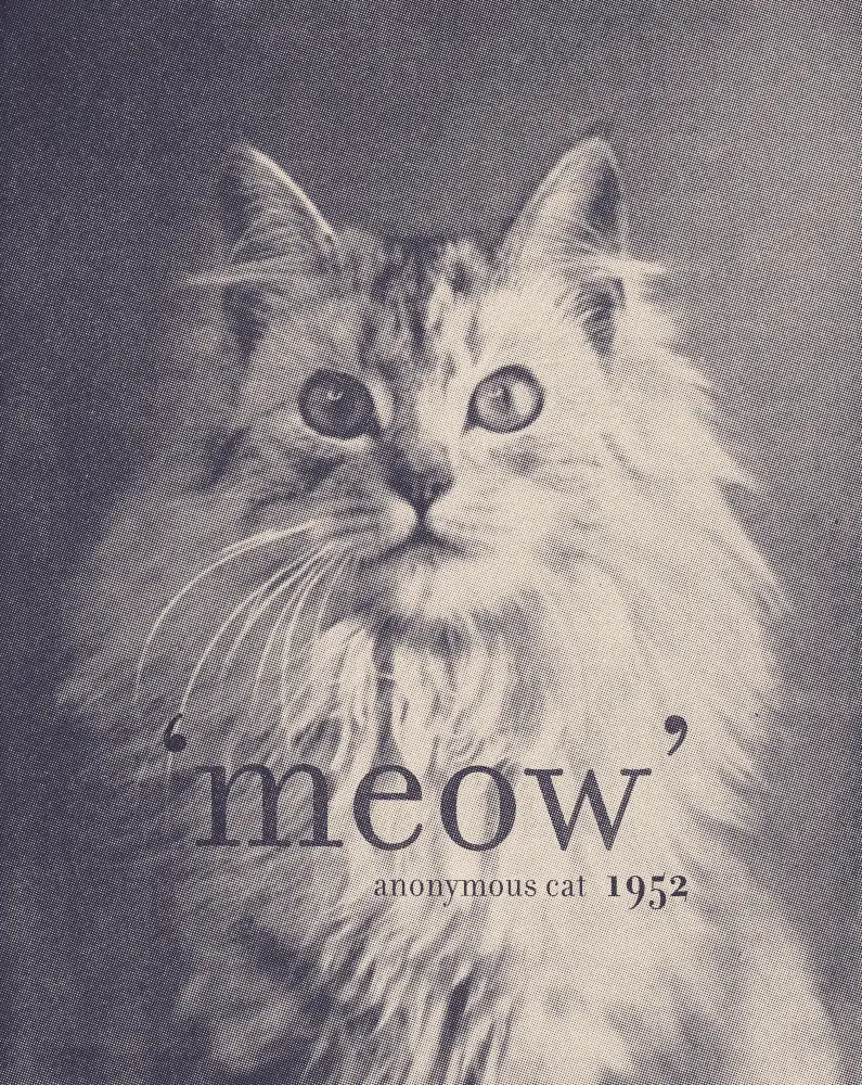 Bodart, Florent: Famous Quote Cat