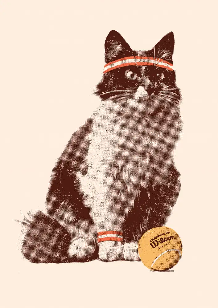 Bodart, Florent: Chat Tennis