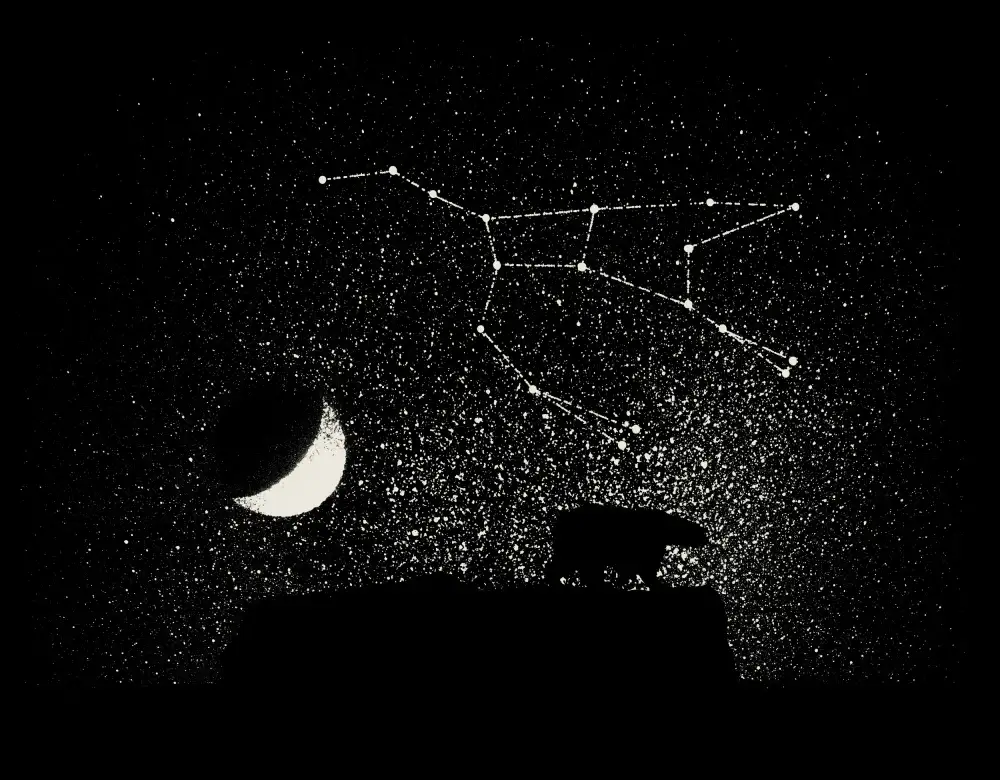 Bodart, Florent: Ursa Major