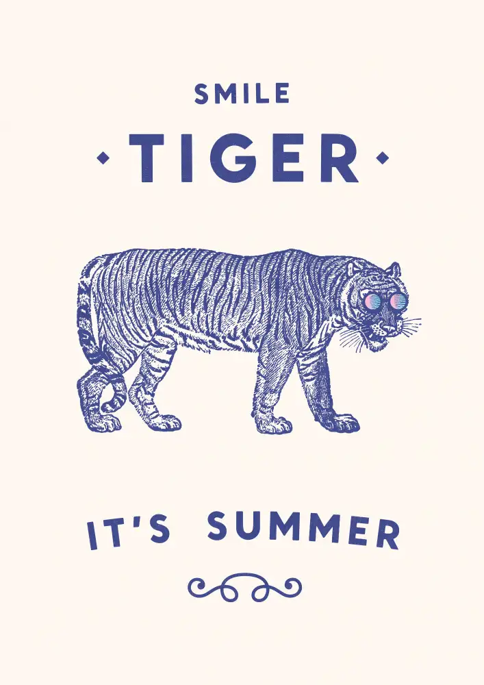 Bodart, Florent: Smile Tiger
