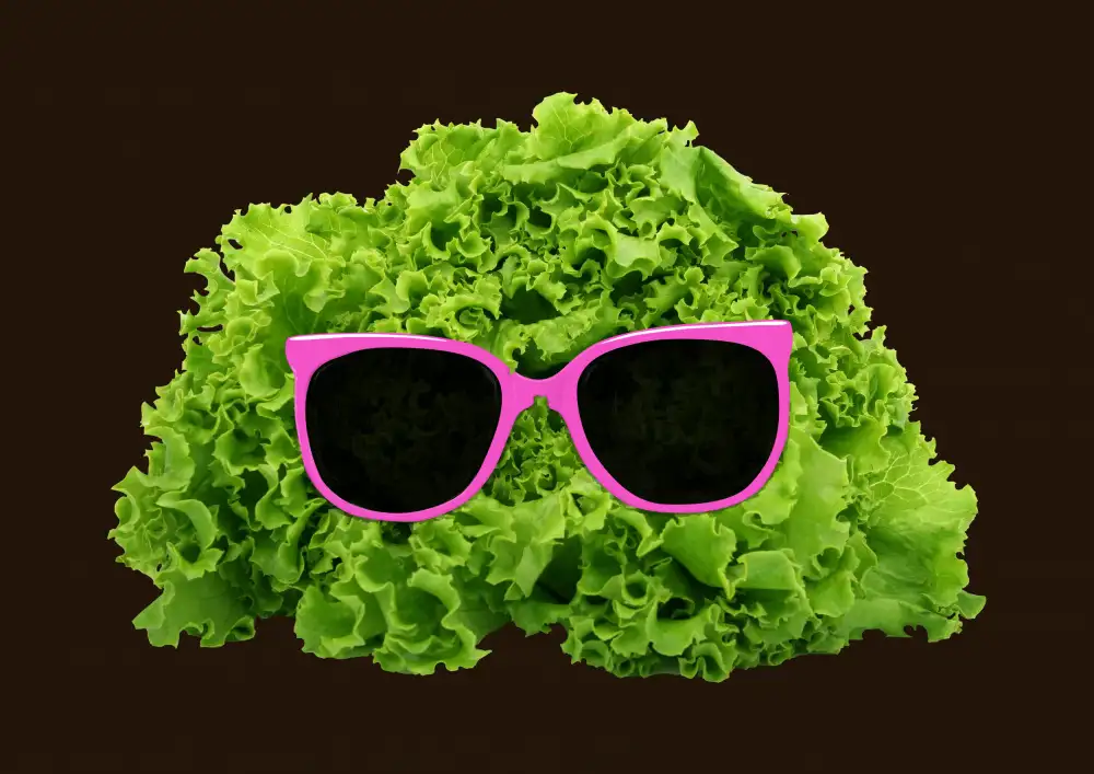 Bodart, Florent: Mr Salad