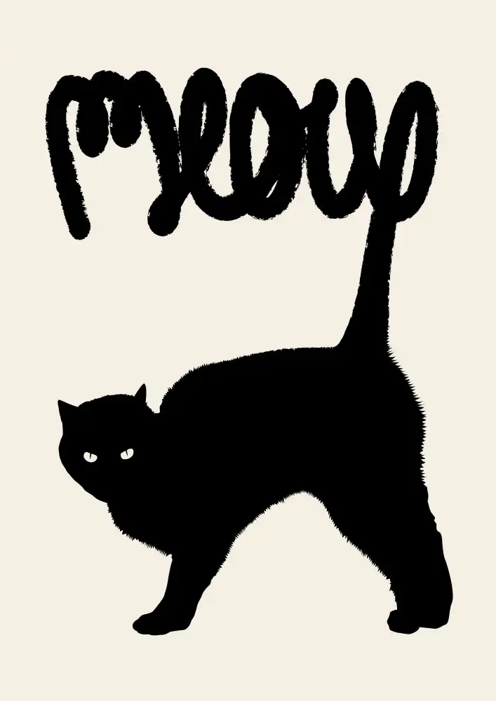 Bodart, Florent: Meow