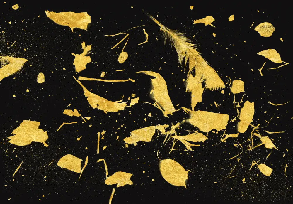 Bodart, Florent: Gold Dust