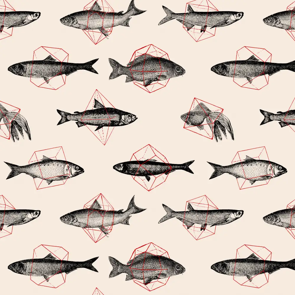 Bodart, Florent: Fish In Geometrics Nº1