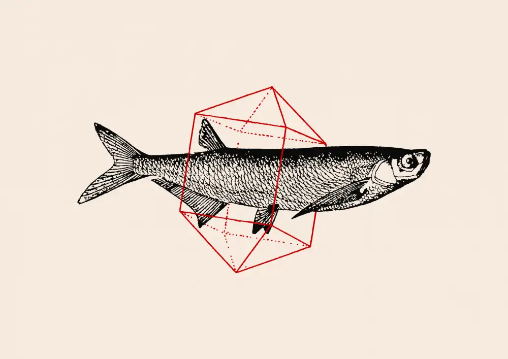 Bodart, Florent: Fish In Geometrics Nº2
