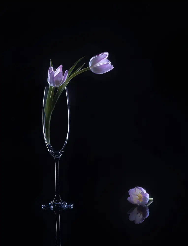Sheng, Alice: still life 74
